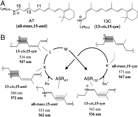 Fig. 2.