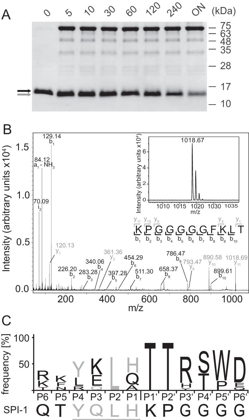 Figure 6.