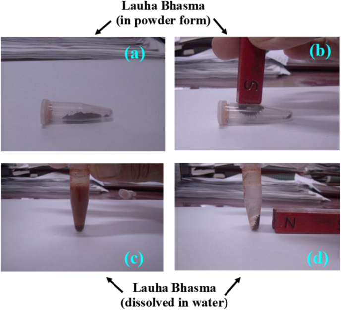 Fig. 10