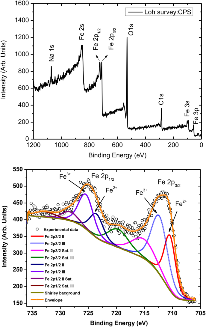 Fig. 2