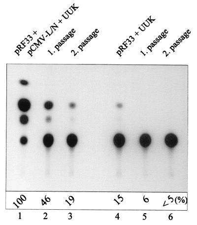 FIG. 9