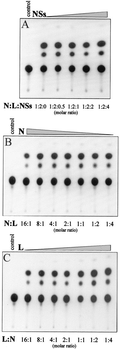 FIG. 5