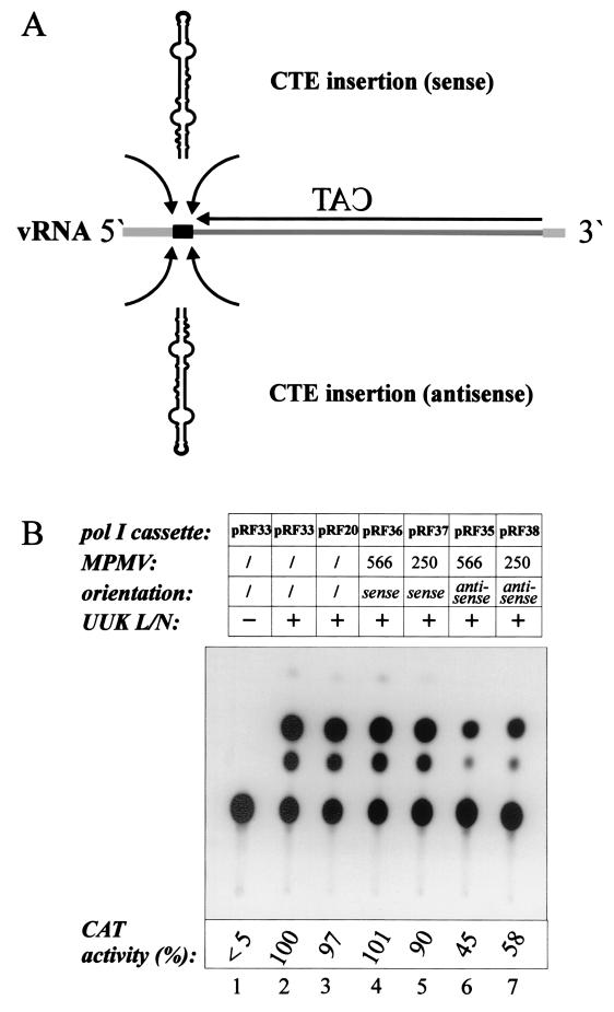 FIG. 8