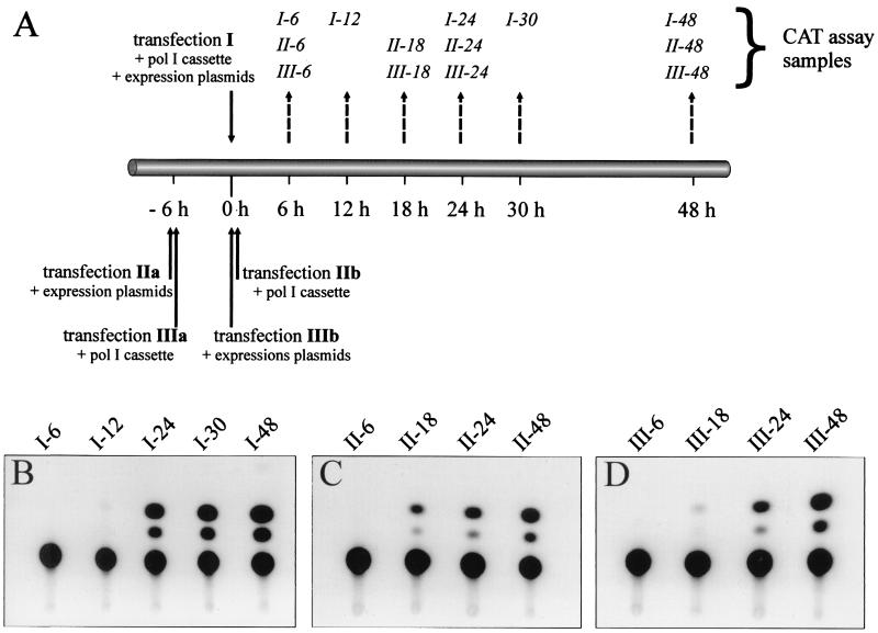 FIG. 6