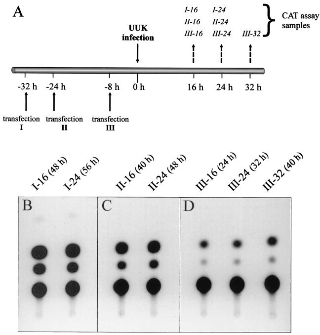 FIG. 7