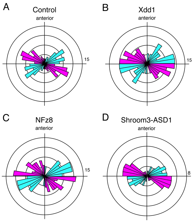 Fig. 9.