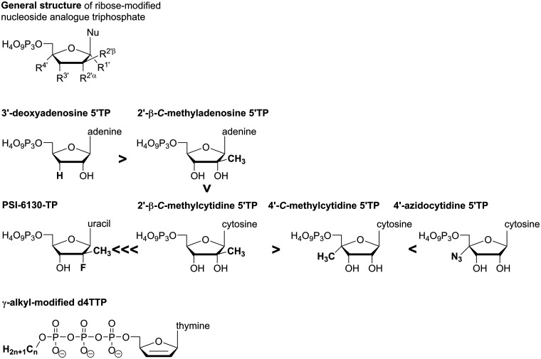 Figure 12.