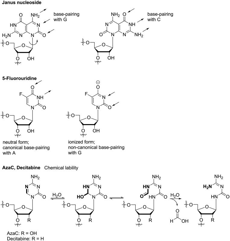 Figure 11.