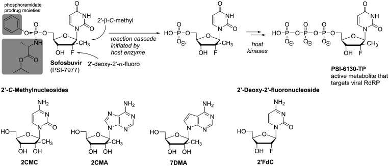 Figure 6.