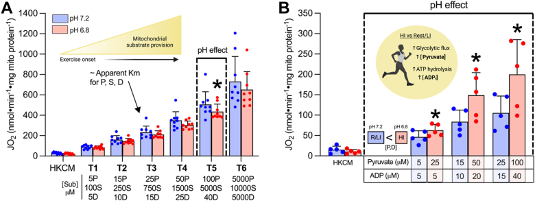 Figure 6