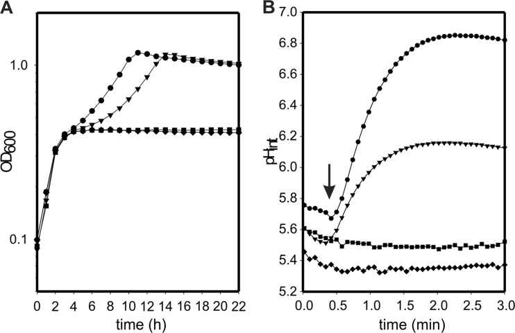 Fig 7