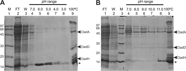 Fig 5