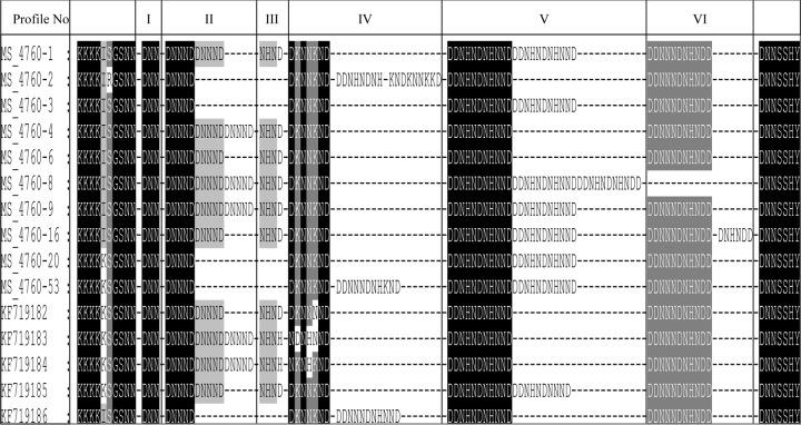 FIG 3