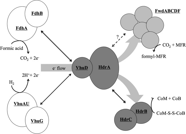 Fig 5