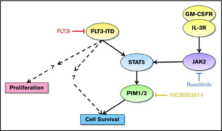 Figure 7.