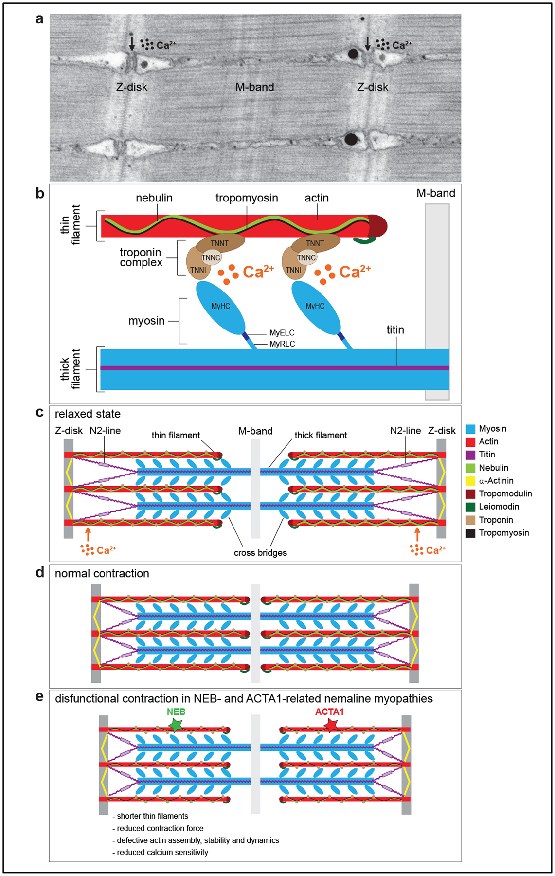 Figure 2 |