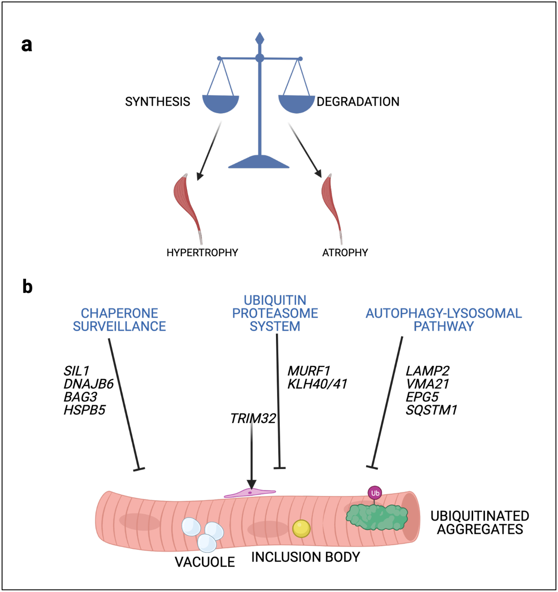 Figure 6 |