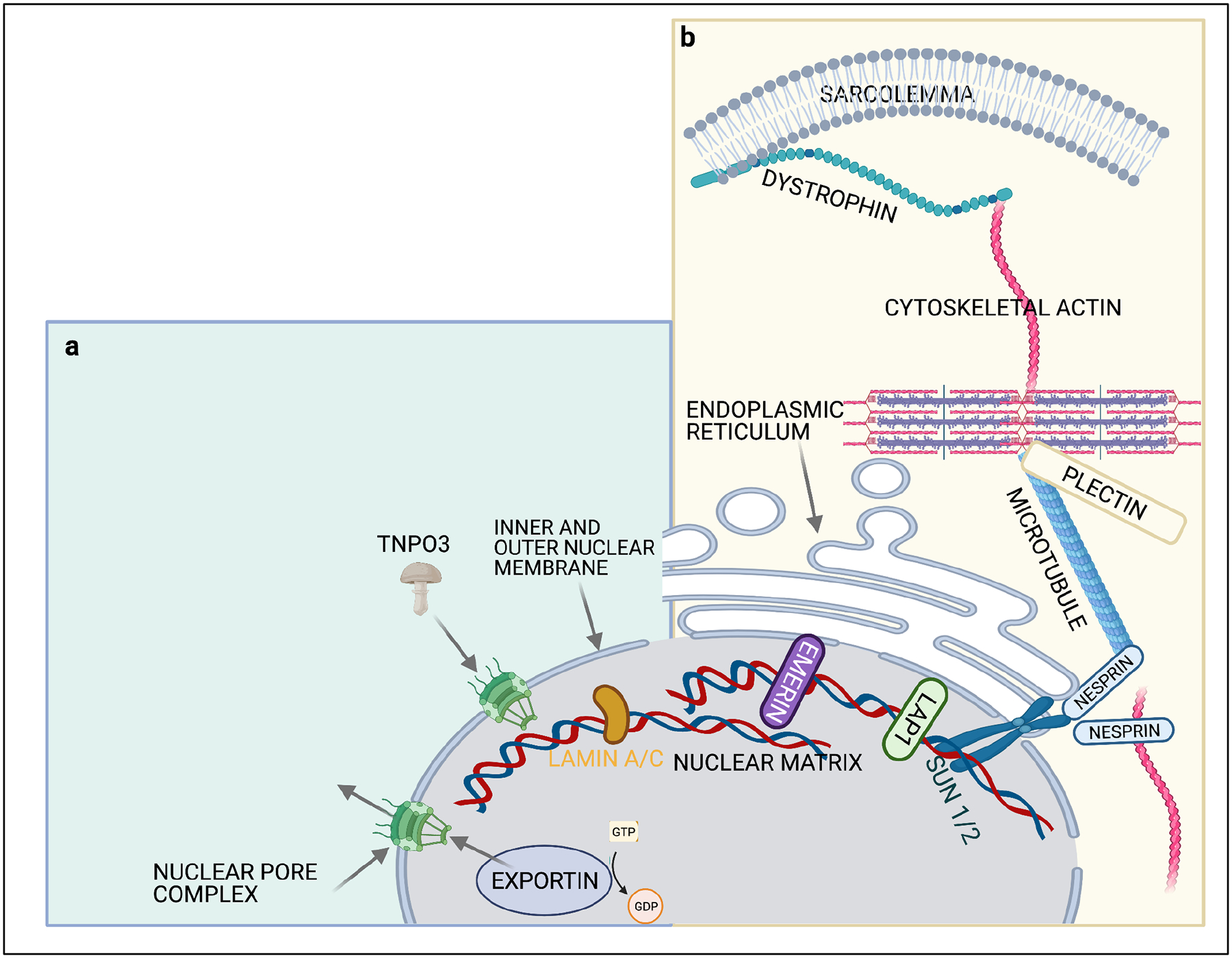 Figure 3: