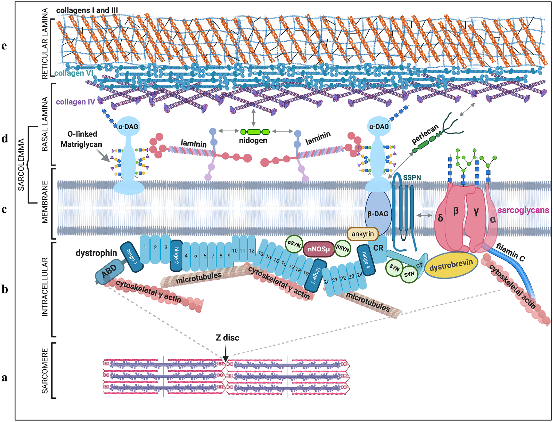 Figure 1: