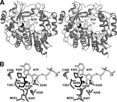 FIG. 8.