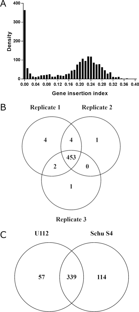 FIG 2