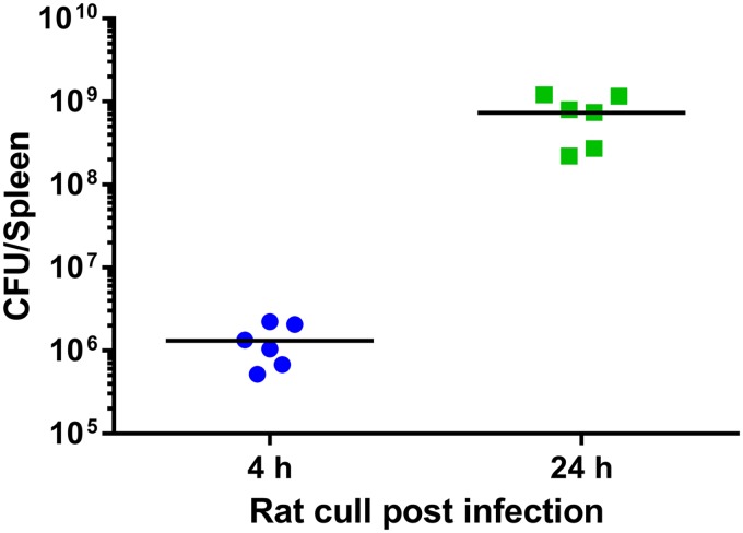 FIG 3