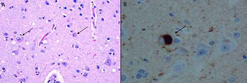 Figure 1: