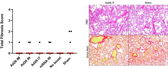 Extended Data Fig. 9