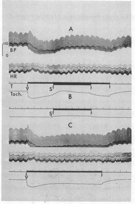 graphic file with name pnas00026-0466-a.jpg