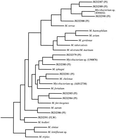 FIG. 5