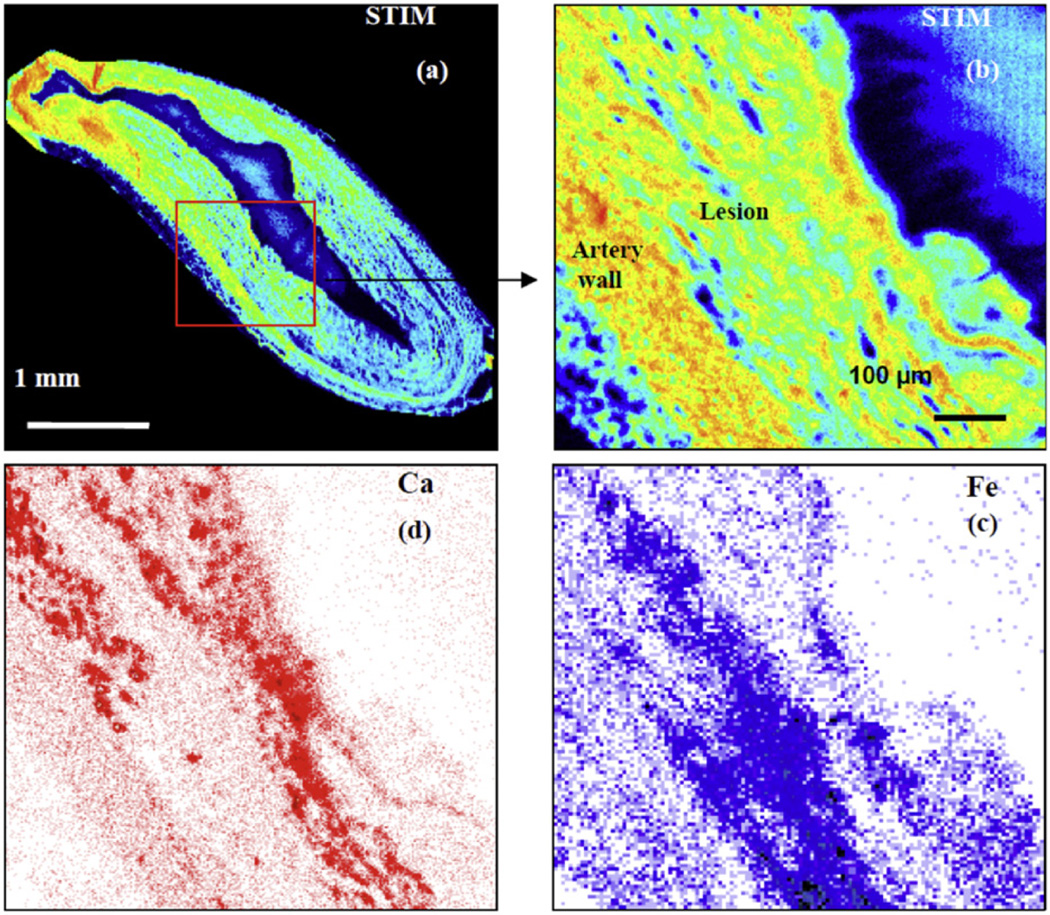 Fig. 2