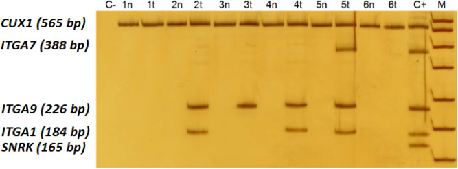 Figure 7