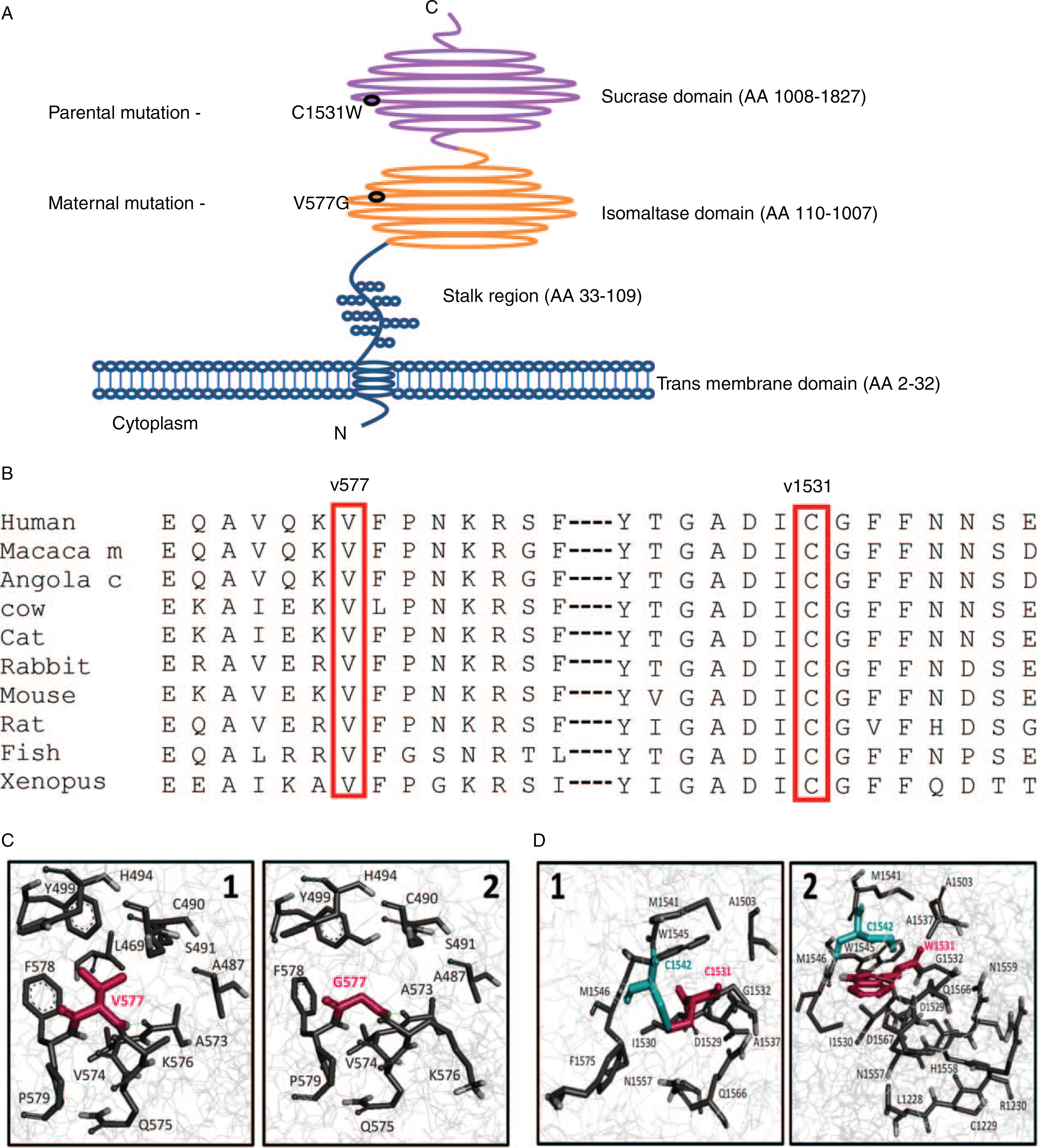 FIGURE 2.