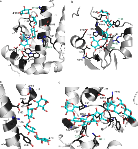 FIGURE 2.