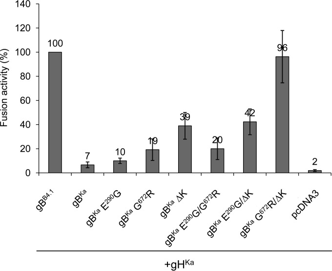 FIG 5