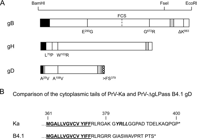 FIG 2