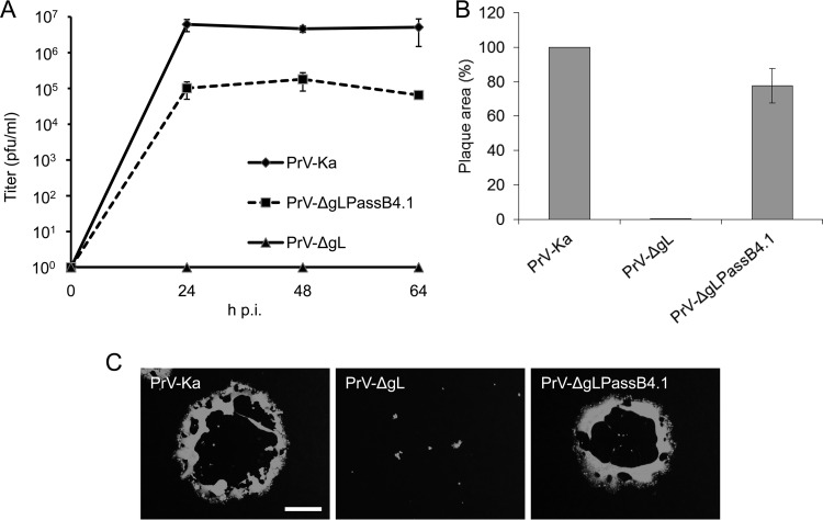 FIG 1