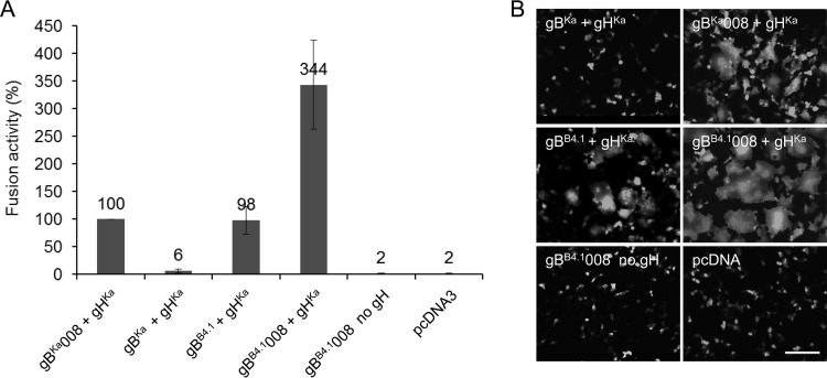 FIG 6