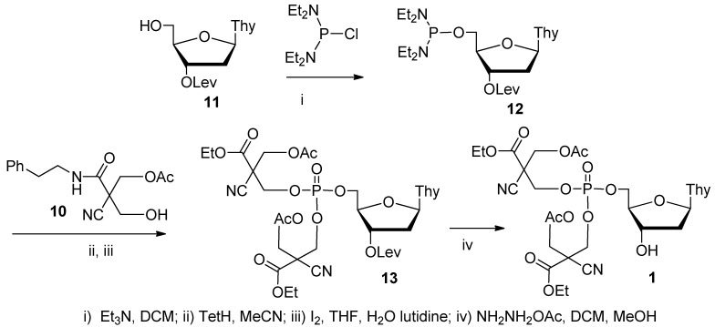 Scheme 3