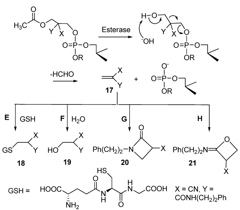 Scheme 5