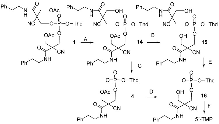 Scheme 4