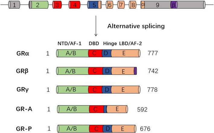 Fig. 2