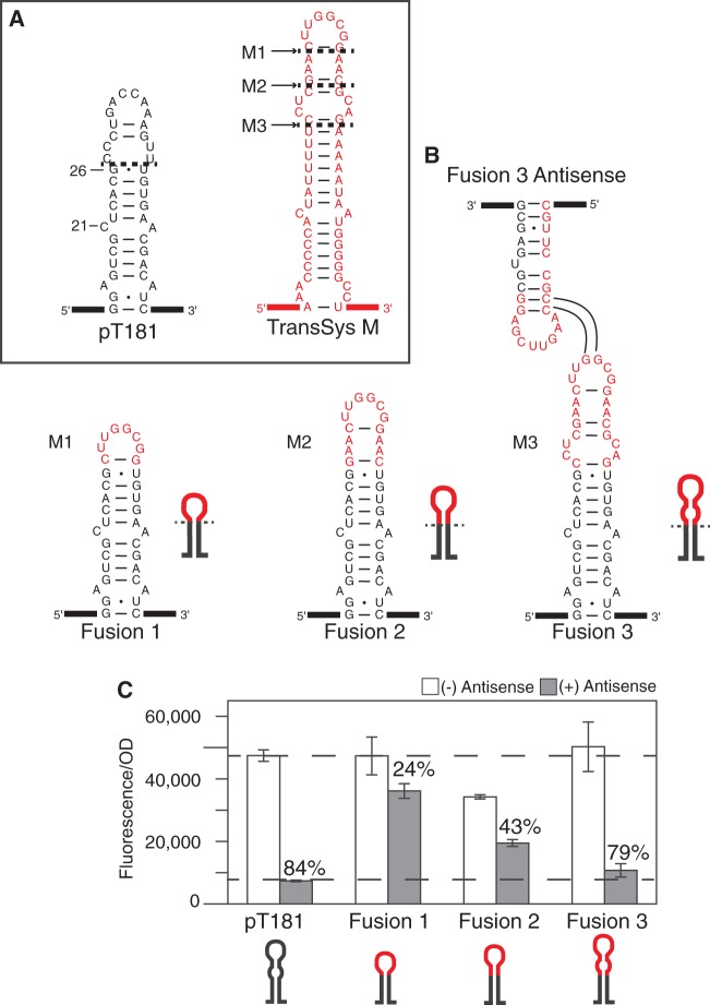 Figure 2.