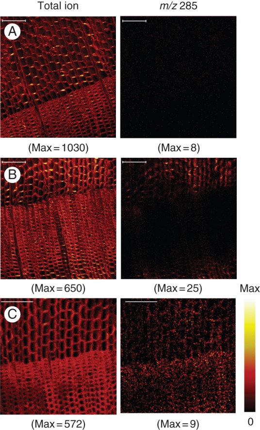 Fig. 2.