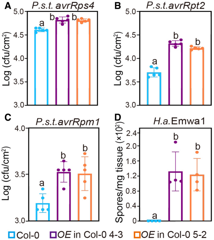 Figure 5