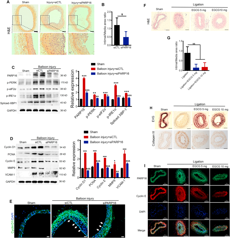 Figure 5