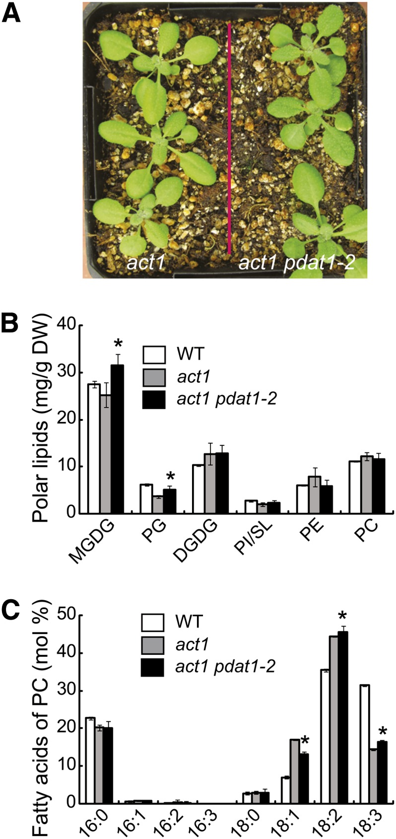 Figure 10.