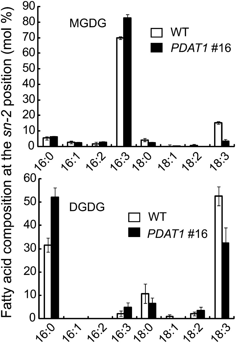 Figure 6.