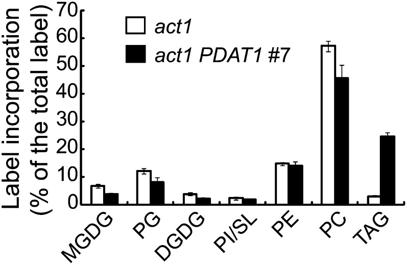 Figure 12.