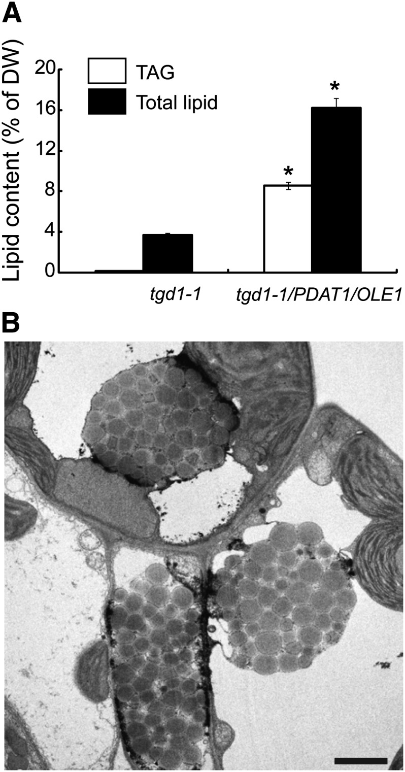 Figure 9.